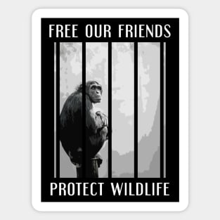 free our friends - chimpanzees Sticker